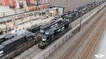 NS 6446